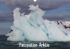 Faszination Arktis (Wandkalender 2021 DIN A3 quer) von Springer,  Heike