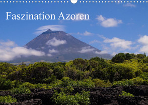 Faszination Azoren (Wandkalender 2023 DIN A3 quer) von Rieger,  Andreas