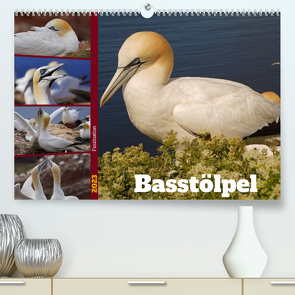 Faszination Basstölpel (Premium, hochwertiger DIN A2 Wandkalender 2023, Kunstdruck in Hochglanz) von Paul - Babett's Bildergalerie,  Babett