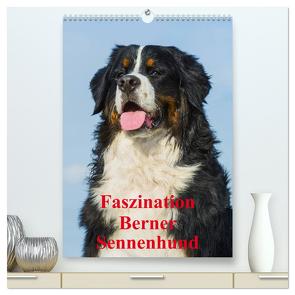 Faszination Berner Sennenhund (hochwertiger Premium Wandkalender 2024 DIN A2 hoch), Kunstdruck in Hochglanz von Starick,  Sigrid
