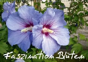 Faszination Blüten (Wandkalender 2018 DIN A3 quer) von Hufeld,  Bernd