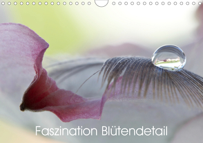 Faszination Blütendetail (Wandkalender 2020 DIN A4 quer) von Bechheim,  Hans