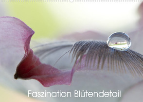Faszination Blütendetail (Wandkalender 2022 DIN A2 quer) von Bechheim,  Hans