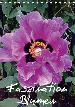 Faszination Blumen (Tischkalender 2018 DIN A5 hoch) von Hufeld,  Bernd