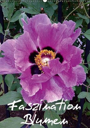 Faszination Blumen (Wandkalender 2018 DIN A2 hoch) von Hufeld,  Bernd