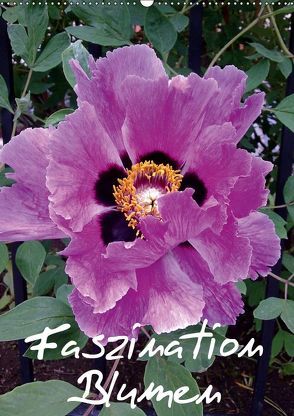 Faszination Blumen (Wandkalender 2019 DIN A2 hoch) von Hufeld,  Bernd