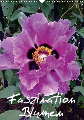 Faszination Blumen (Wandkalender 2019 DIN A3 hoch) von Hufeld,  Bernd