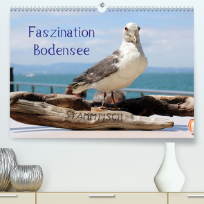 Faszination Bodensee (Premium, hochwertiger DIN A2 Wandkalender 2021, Kunstdruck in Hochglanz) von Raab,  Karsten-Thilo