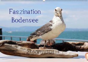 Faszination Bodensee (Wandkalender 2019 DIN A2 quer) von Raab,  Karsten-Thilo