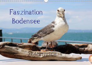 Faszination Bodensee (Wandkalender 2021 DIN A3 quer) von Raab,  Karsten-Thilo