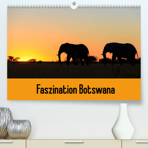 Faszination Botswana (Premium, hochwertiger DIN A2 Wandkalender 2022, Kunstdruck in Hochglanz) von Scholz,  Frauke