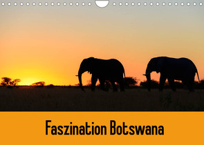 Faszination Botswana (Wandkalender 2022 DIN A4 quer) von Scholz,  Frauke