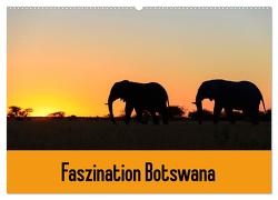Faszination Botswana (Wandkalender 2024 DIN A2 quer), CALVENDO Monatskalender von Scholz,  Frauke