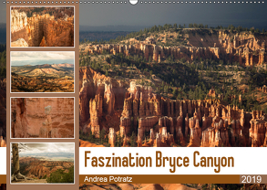 Faszination Bryce Canyon (Wandkalender 2019 DIN A2 quer) von Potratz,  Andrea