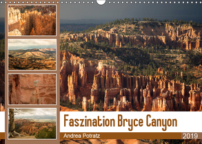 Faszination Bryce Canyon (Wandkalender 2019 DIN A3 quer) von Potratz,  Andrea