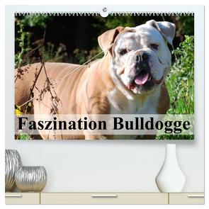 Faszination Bulldogge (hochwertiger Premium Wandkalender 2024 DIN A2 quer), Kunstdruck in Hochglanz von Stanzer,  Elisabeth