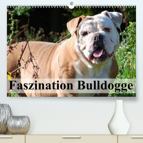 Faszination Bulldogge (Premium, hochwertiger DIN A2 Wandkalender 2023, Kunstdruck in Hochglanz) von Stanzer,  Elisabeth
