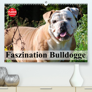 Faszination Bulldogge (Premium, hochwertiger DIN A2 Wandkalender 2023, Kunstdruck in Hochglanz) von Stanzer,  Elisabeth