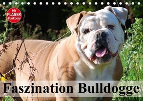 Faszination Bulldogge (Tischkalender 2018 DIN A5 quer) von Stanzer,  Elisabeth