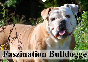 Faszination Bulldogge (Wandkalender 2022 DIN A3 quer) von Stanzer,  Elisabeth