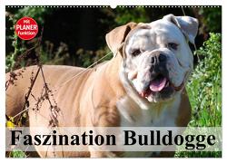 Faszination Bulldogge (Wandkalender 2024 DIN A2 quer), CALVENDO Monatskalender von Stanzer,  Elisabeth