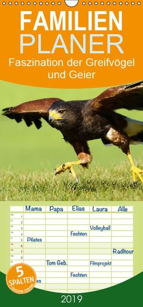 Faszination der Greifvögel und Geier – Familienplaner hoch (Wandkalender 2019 , 21 cm x 45 cm, hoch) von Müller,  Erika