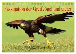 Faszination der Greifvögel und Geier (Tischkalender 2024 DIN A5 quer), CALVENDO Monatskalender von Müller,  Erika