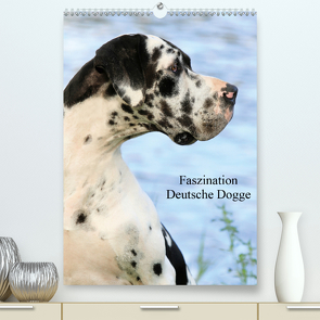 Faszination Deutsche Dogge (Premium, hochwertiger DIN A2 Wandkalender 2021, Kunstdruck in Hochglanz) von Reiß-Seibert,  Marion
