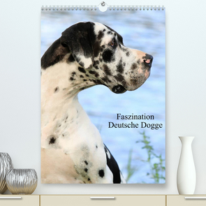 Faszination Deutsche Dogge (Premium, hochwertiger DIN A2 Wandkalender 2022, Kunstdruck in Hochglanz) von Reiß-Seibert,  Marion