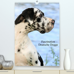 Faszination Deutsche Dogge (Premium, hochwertiger DIN A2 Wandkalender 2023, Kunstdruck in Hochglanz) von Reiß-Seibert,  Marion
