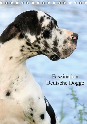 Faszination Deutsche Dogge (Tischkalender 2018 DIN A5 hoch) von Reiß-Seibert,  Marion