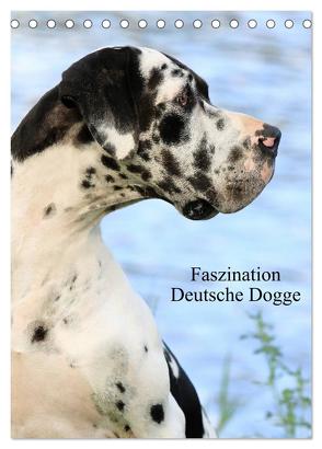 Faszination Deutsche Dogge (Tischkalender 2024 DIN A5 hoch), CALVENDO Monatskalender von Reiß-Seibert,  Marion