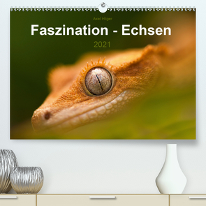 Faszination – Echsen (Premium, hochwertiger DIN A2 Wandkalender 2021, Kunstdruck in Hochglanz) von Hilger,  Axel