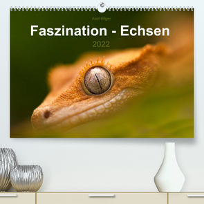 Faszination – Echsen (Premium, hochwertiger DIN A2 Wandkalender 2022, Kunstdruck in Hochglanz) von Hilger,  Axel