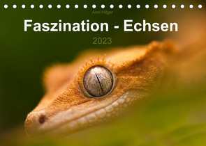 Faszination – Echsen (Tischkalender 2023 DIN A5 quer) von Hilger,  Axel