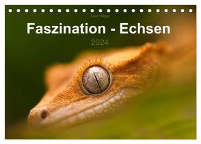 Faszination – Echsen (Tischkalender 2024 DIN A5 quer), CALVENDO Monatskalender von Hilger,  Axel