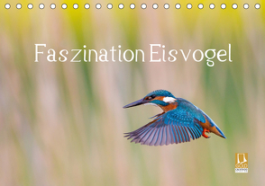 Faszination Eisvogel (Tischkalender 2021 DIN A5 quer) von Martin,  Wilfried