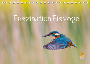 Faszination Eisvogel (Tischkalender 2022 DIN A5 quer) von Martin,  Wilfried