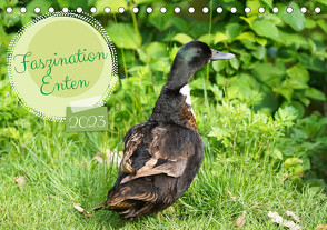 Faszination Enten (Tischkalender 2023 DIN A5 quer) von Paul - Babett's Bildergalerie,  Babett