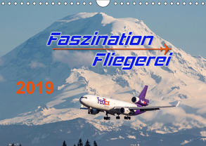 Faszination Fliegerei (Wandkalender 2019 DIN A4 quer) von Meyer,  Tis