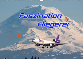 Faszination Fliegerei (Wandkalender 2020 DIN A2 quer) von Meyer,  Tis