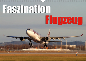 Faszination Flugzeug (Wandkalender 2020 DIN A3 quer) von Philipp,  Daniel