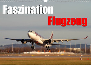 Faszination Flugzeug (Wandkalender 2022 DIN A3 quer) von Philipp,  Daniel