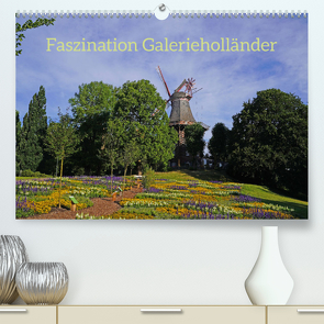 Faszination Galerieholländer (Premium, hochwertiger DIN A2 Wandkalender 2023, Kunstdruck in Hochglanz) von Galerieholländer,  Faszination