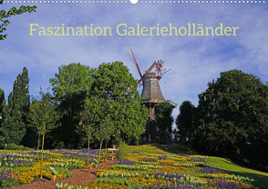 Faszination Galerieholländer (Wandkalender 2023 DIN A2 quer) von Galerieholländer,  Faszination