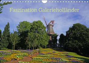Faszination Galerieholländer (Wandkalender 2023 DIN A4 quer) von Galerieholländer,  Faszination