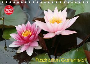 Faszination Gartenteich (Tischkalender 2019 DIN A5 quer) von Rickert,  Reinhard