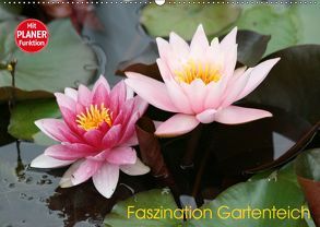 Faszination Gartenteich (Wandkalender 2019 DIN A2 quer) von Rickert,  Reinhard