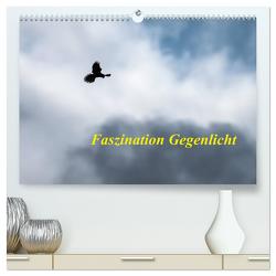 Faszination Gegenlicht (hochwertiger Premium Wandkalender 2024 DIN A2 quer), Kunstdruck in Hochglanz von Martin (GDT),  Wilfried