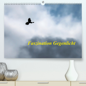 Faszination Gegenlicht (Premium, hochwertiger DIN A2 Wandkalender 2021, Kunstdruck in Hochglanz) von Martin (GDT),  Wilfried